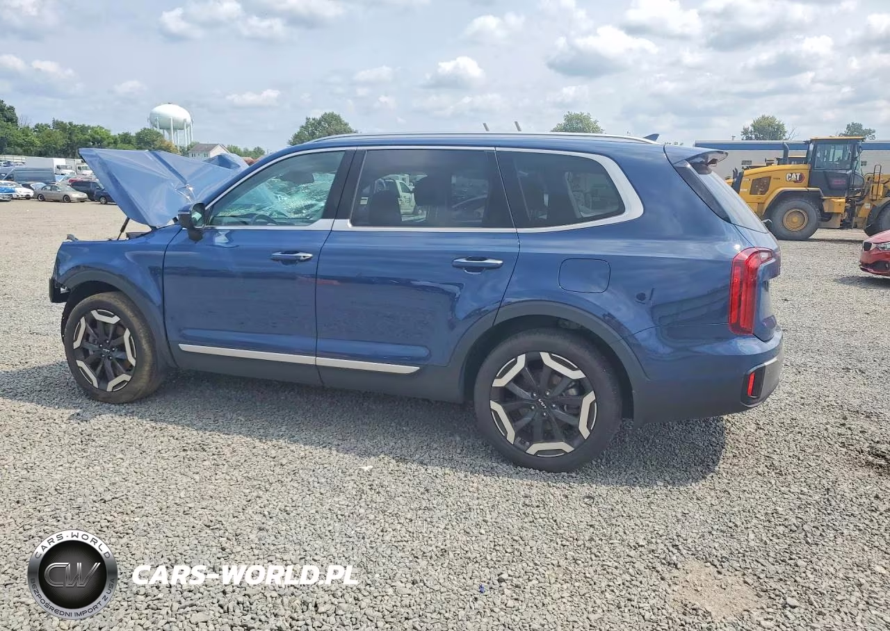 2025 Kia Telluride S VIN:5XYP6DGC9SG579099 - 2