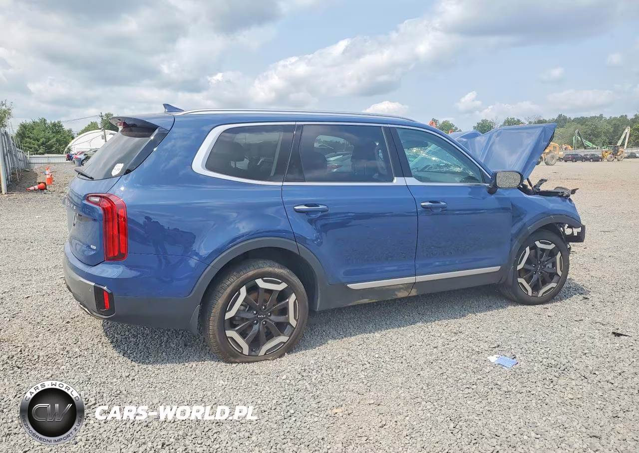 2025 Kia Telluride S VIN:5XYP6DGC9SG579099 - 3