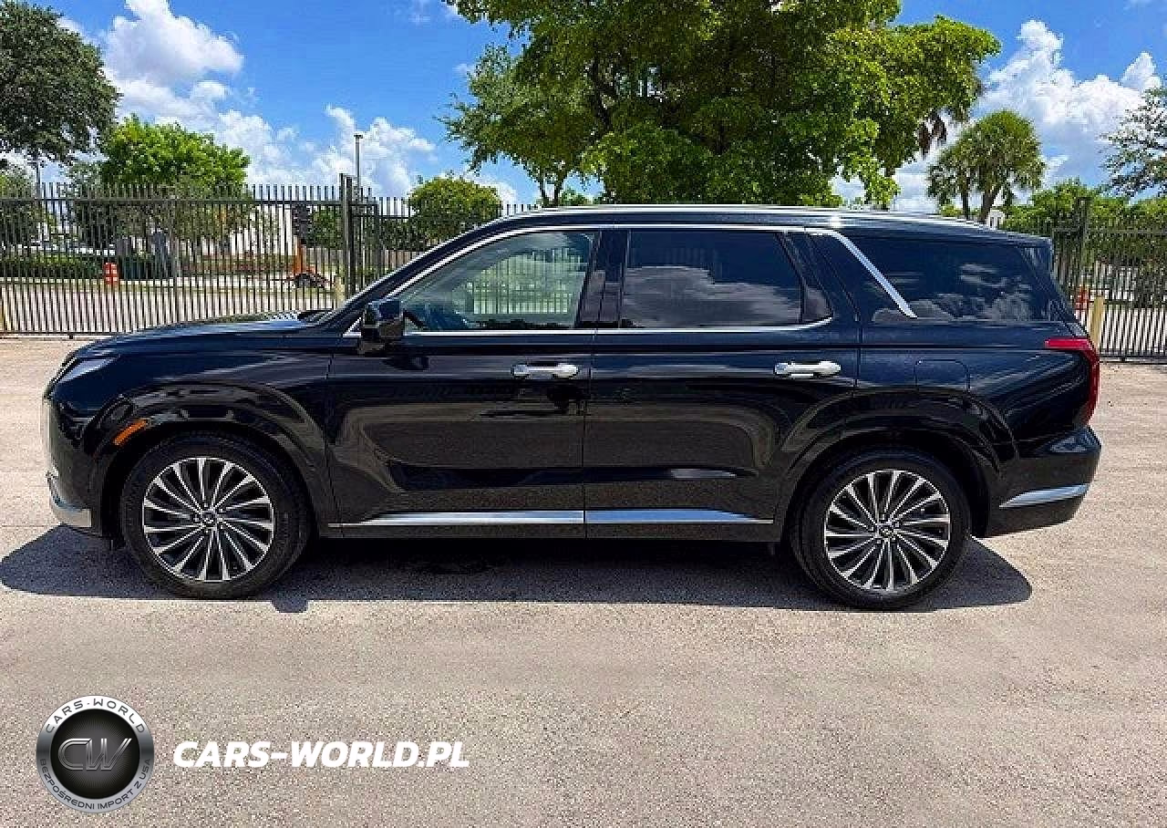 2023 Hyundai Palisade Calligraphy VIN:KM8R7DGE9PU505495 - 12