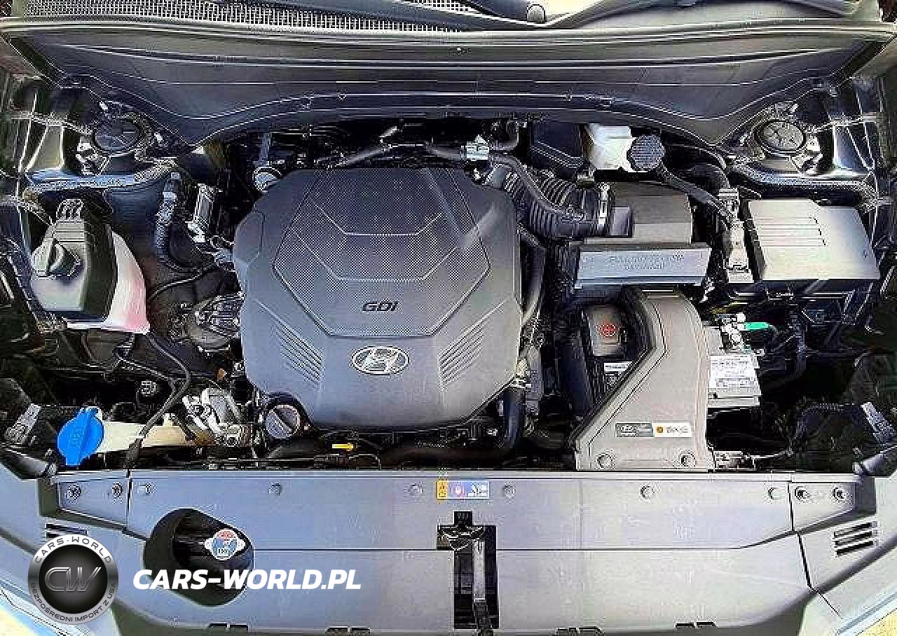 2023 Hyundai Palisade Calligraphy VIN:KM8R7DGE9PU505495 - 14