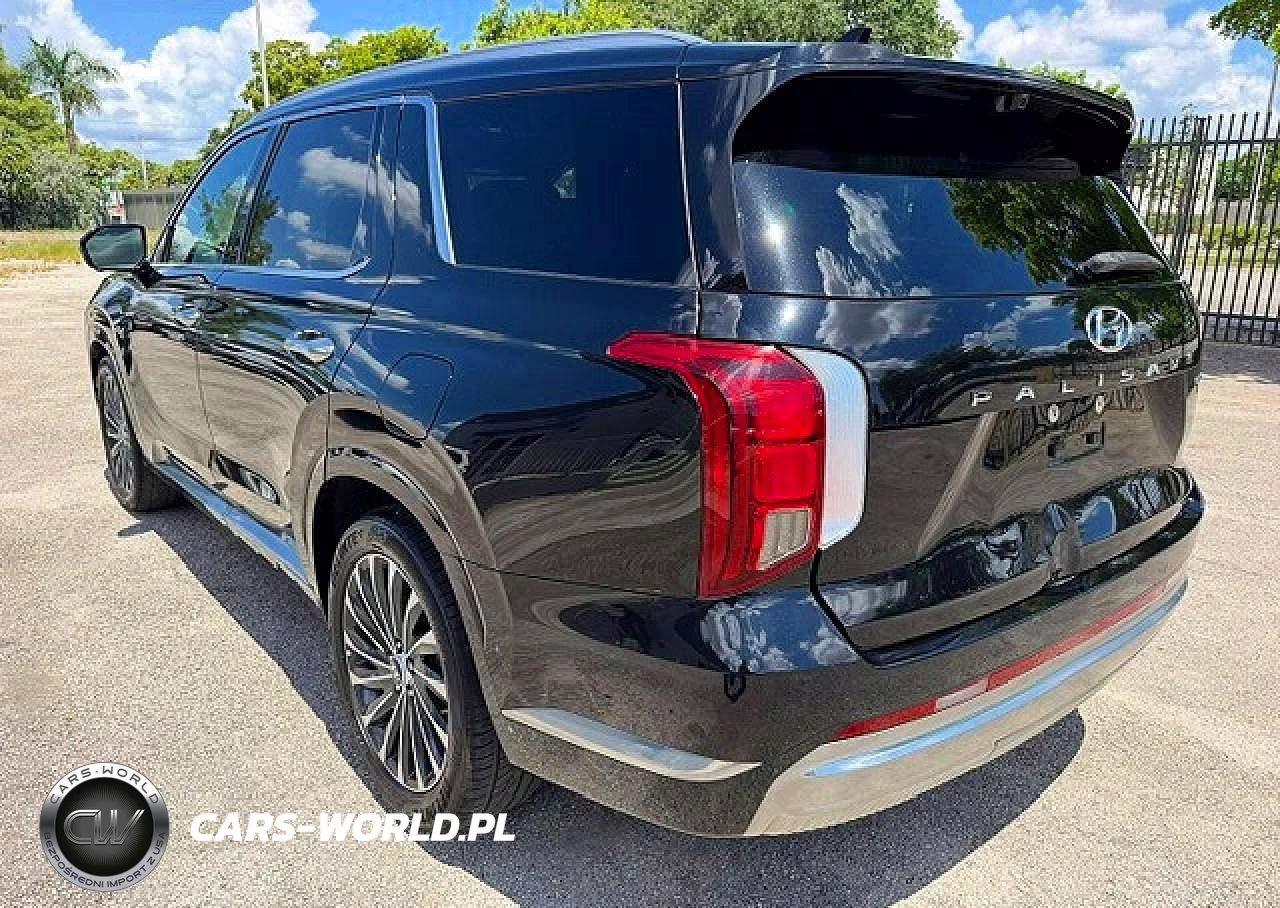 2023 Hyundai Palisade Calligraphy VIN:KM8R7DGE9PU505495 - 2