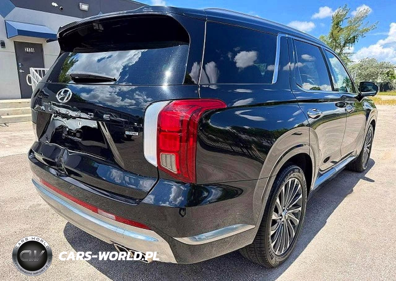 2023 Hyundai Palisade Calligraphy VIN:KM8R7DGE9PU505495 - 3