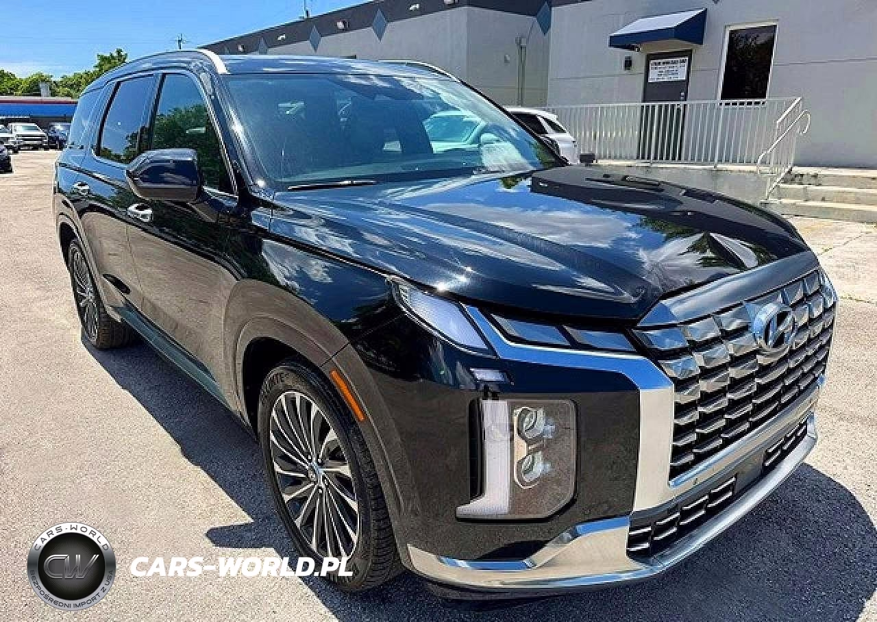 2023 Hyundai Palisade Calligraphy VIN:KM8R7DGE9PU505495 - 4