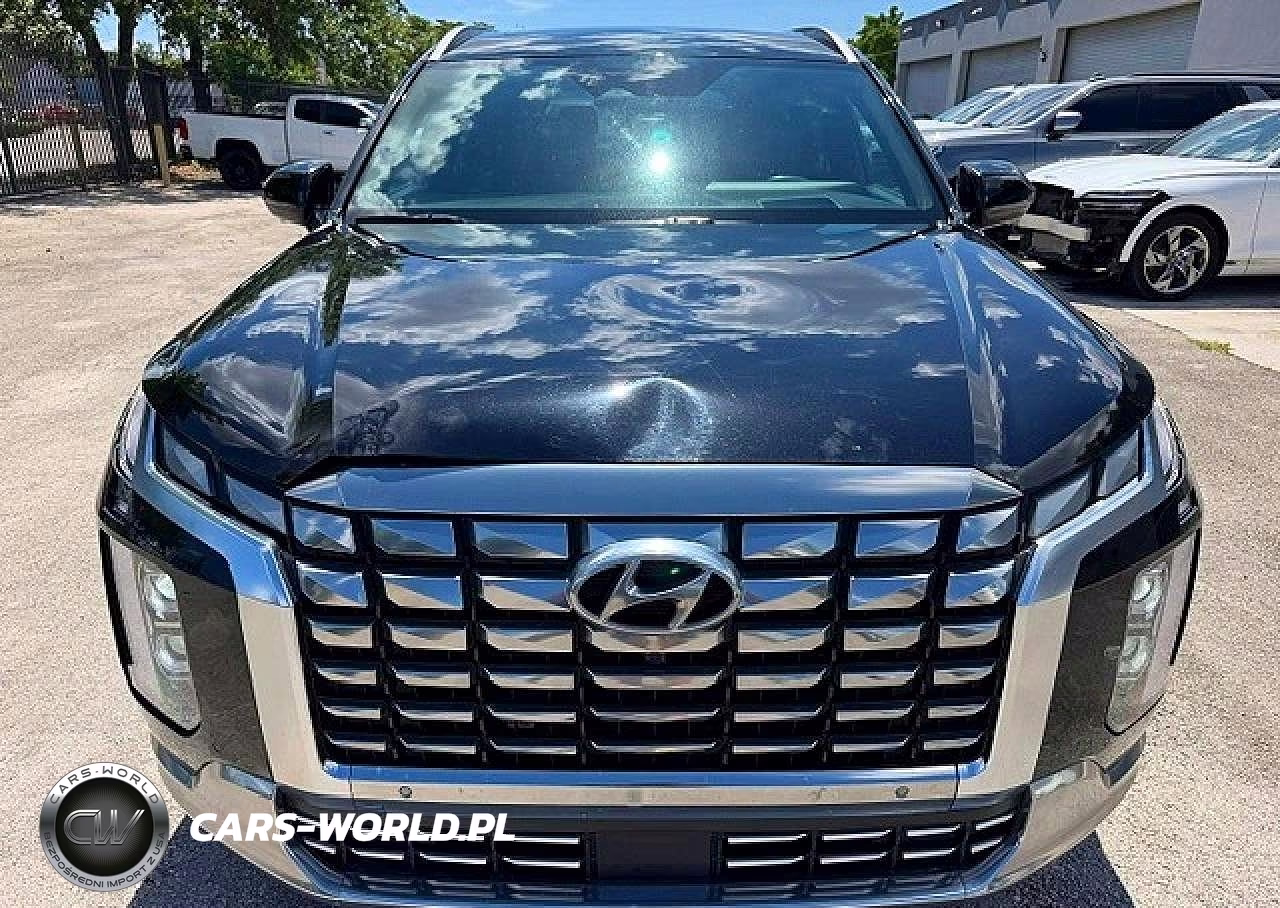 2023 Hyundai Palisade Calligraphy VIN:KM8R7DGE9PU505495 - 5