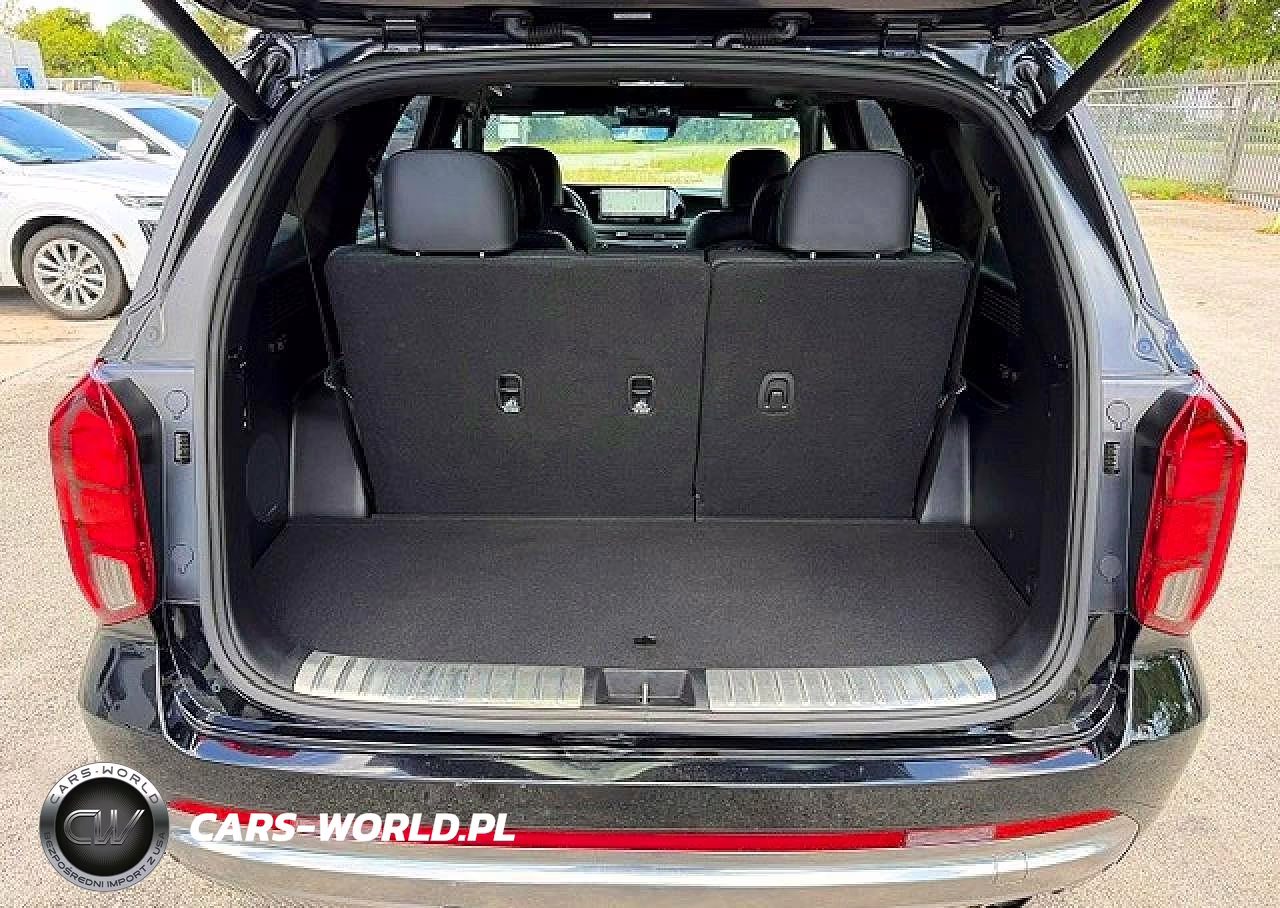 2023 Hyundai Palisade Calligraphy VIN:KM8R7DGE9PU505495 - 6
