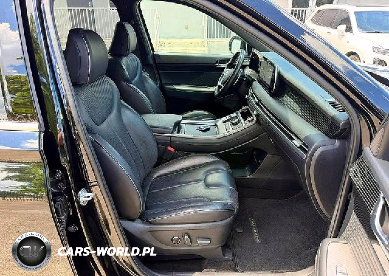 2023 Hyundai Palisade Calligraphy VIN:KM8R7DGE9PU505495 - 7