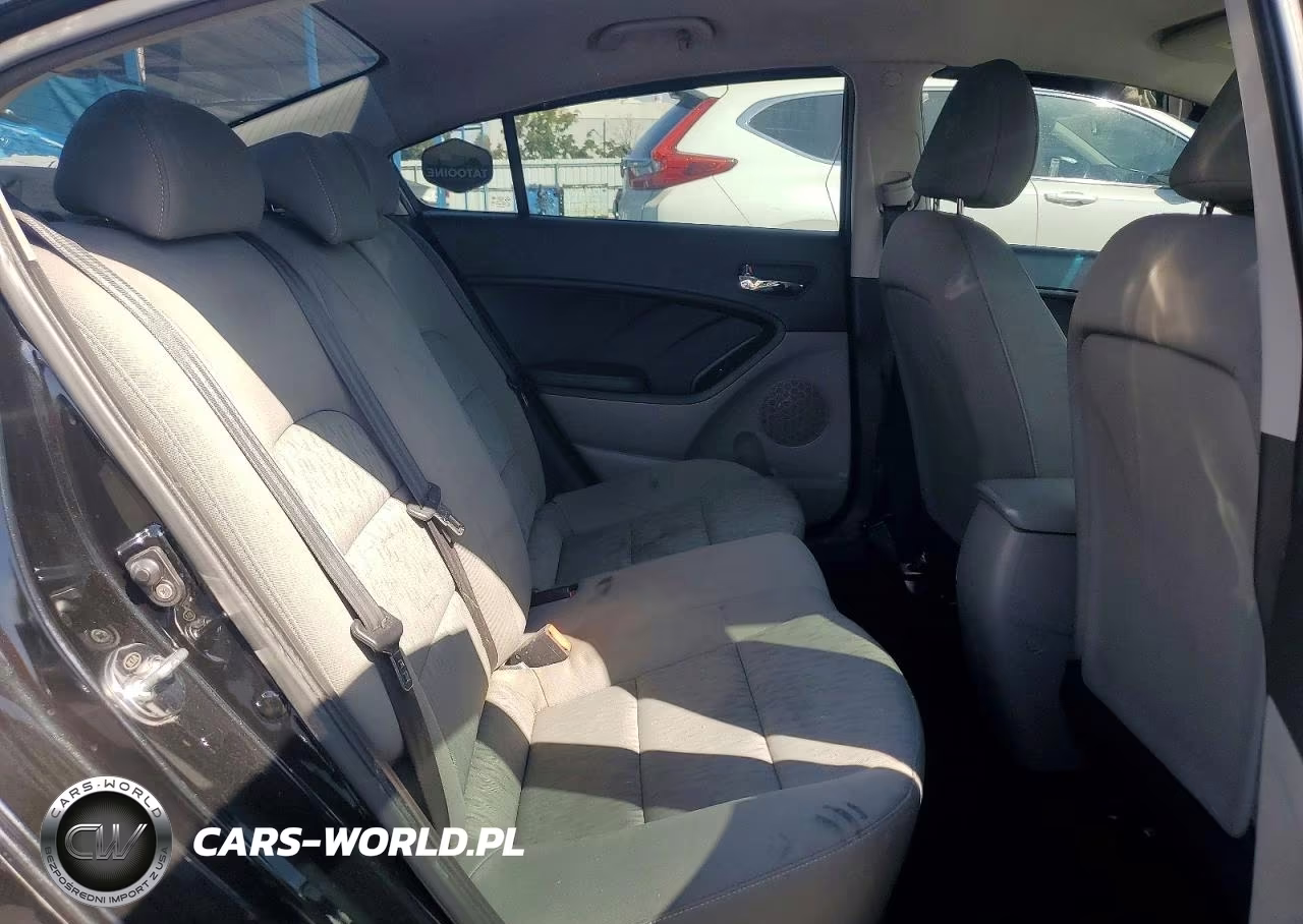 2015 Kia Forte Lx VIN:KNAFK4A62F5342203 - 10