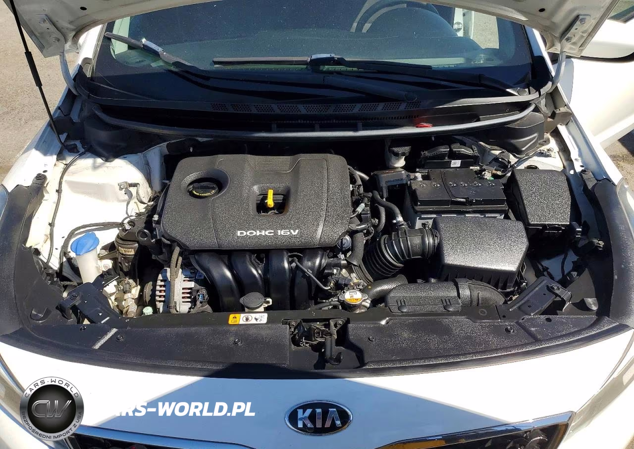 2017 Kia Forte Lx VIN:3KPFK4A7XHE121032 - 11