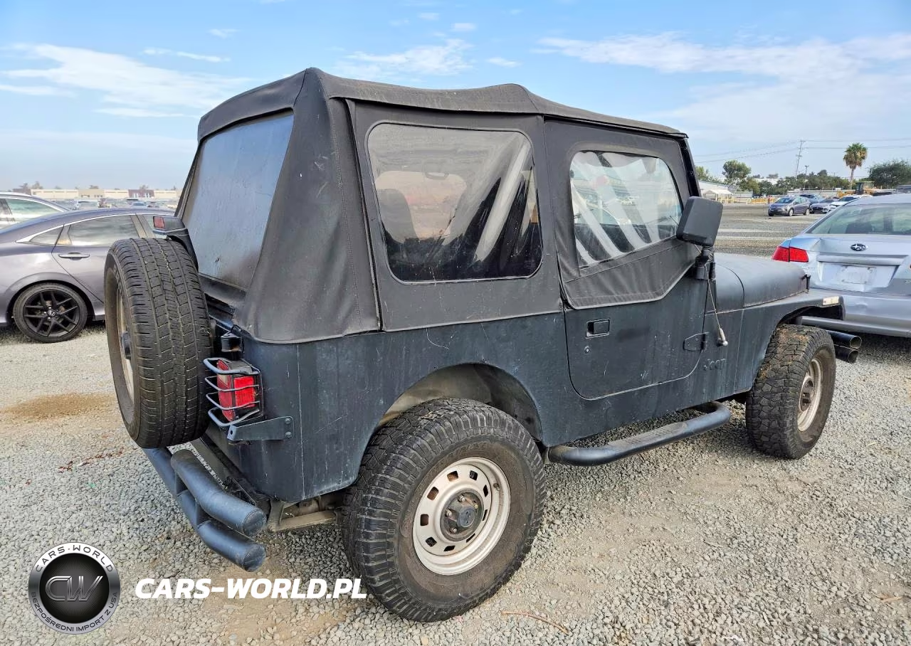 1995 Jeep Wrangler - Yj S VIN:1J4FY19P9SP255016 - 3
