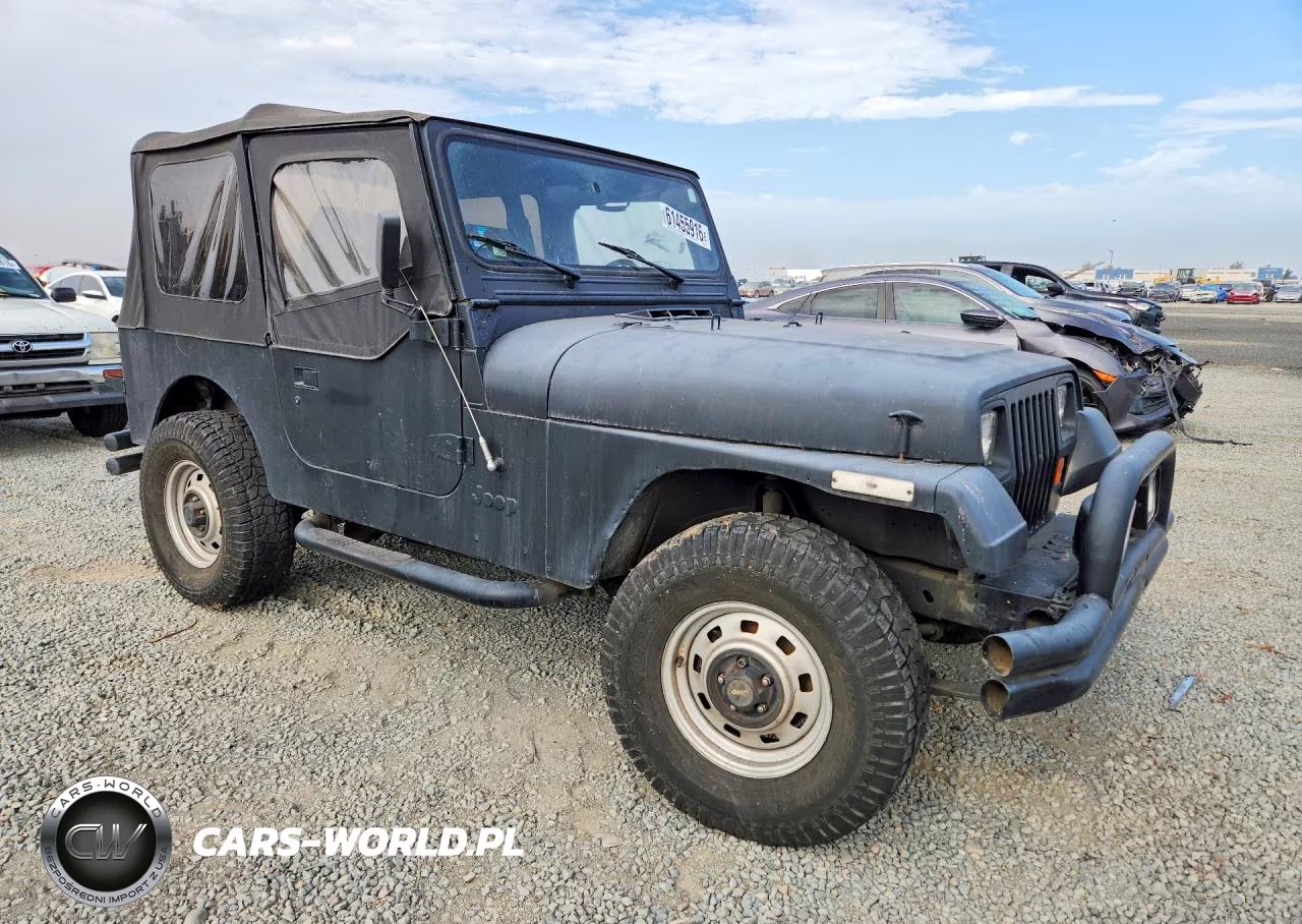 1995 Jeep Wrangler - Yj S VIN:1J4FY19P9SP255016 - 4