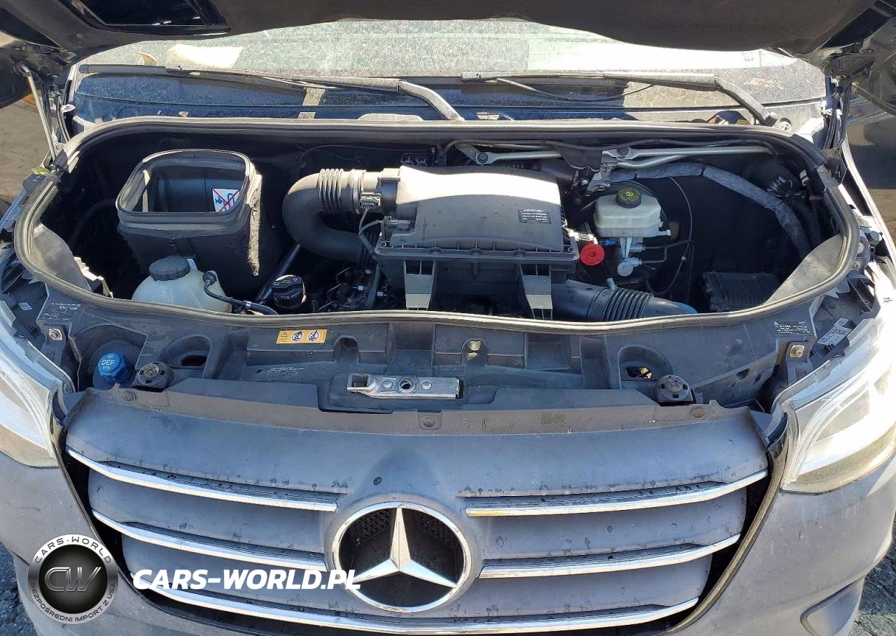2020 Mercedes-Benz Sprinter 2500 VIN:W1Z4EGHY9LT022806 - 12