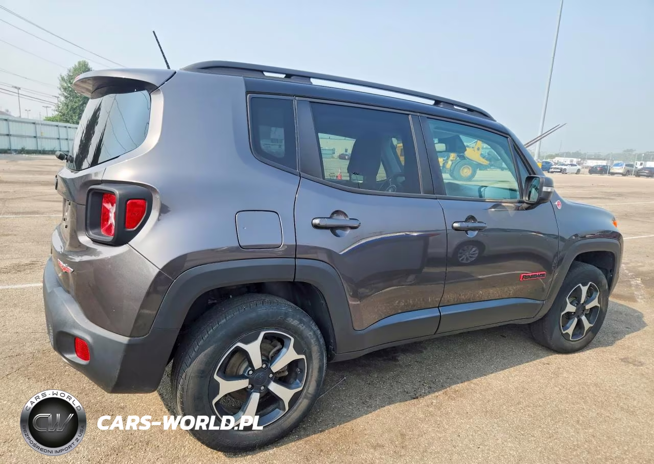 2019 Jeep Renegade Trailhawk VIN:ZACNJBC19KPJ90393 - 3