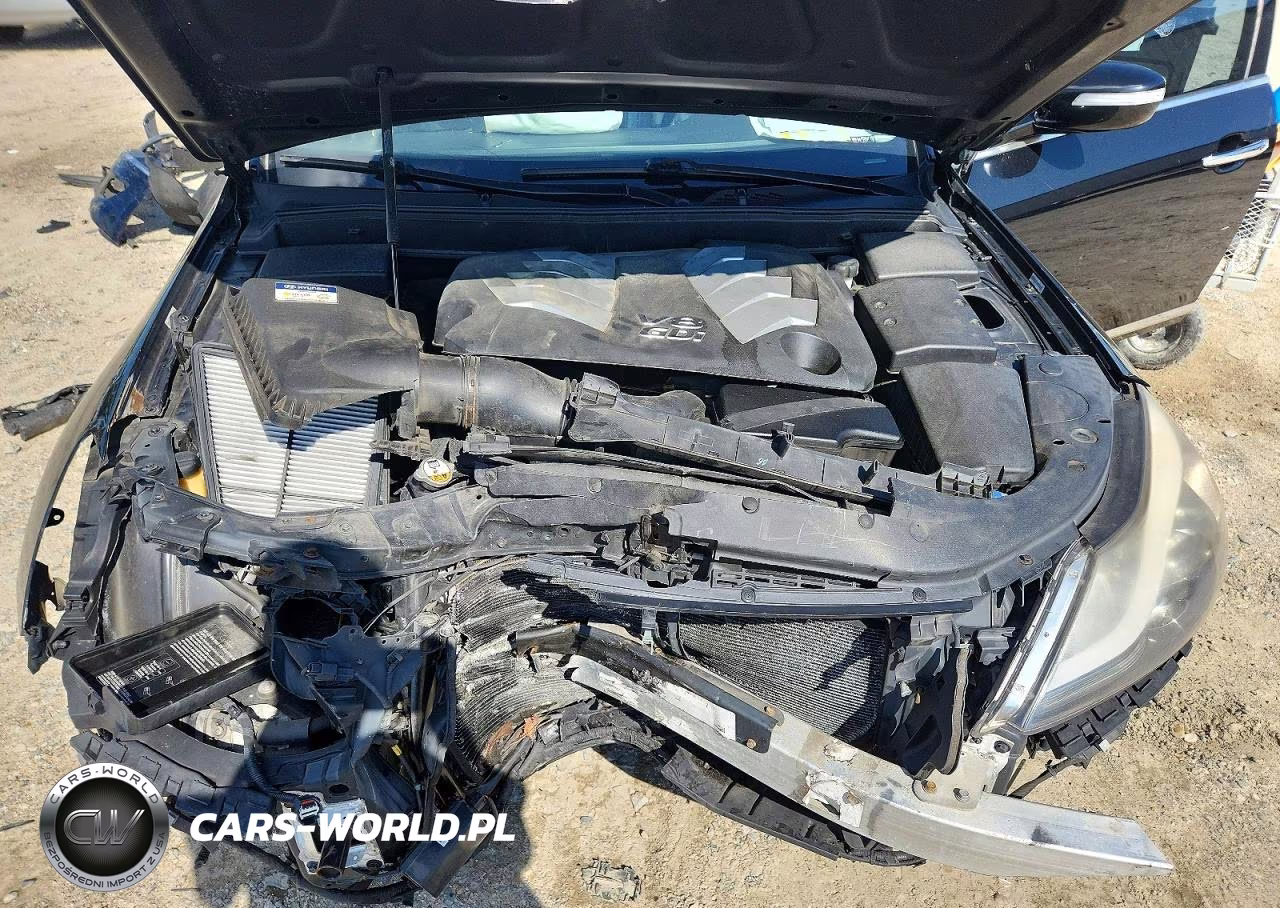 2013 Hyundai Genesis 5.0L VIN:KMHGC4DH8DU251484 - 11