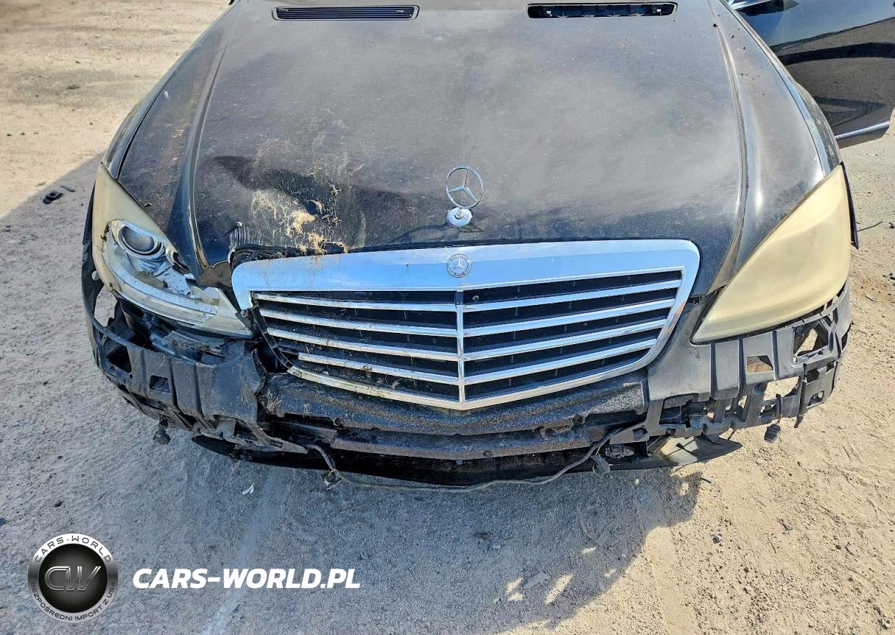 2010 Mercedes-Benz S 550 VIN:WDDNG7BB3AA288977 - 11