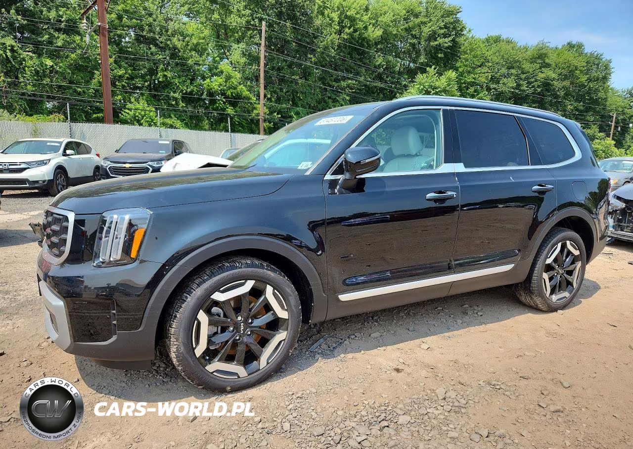 2025 Kia Telluride S VIN:5XYP6DGC9SG736002 - 1