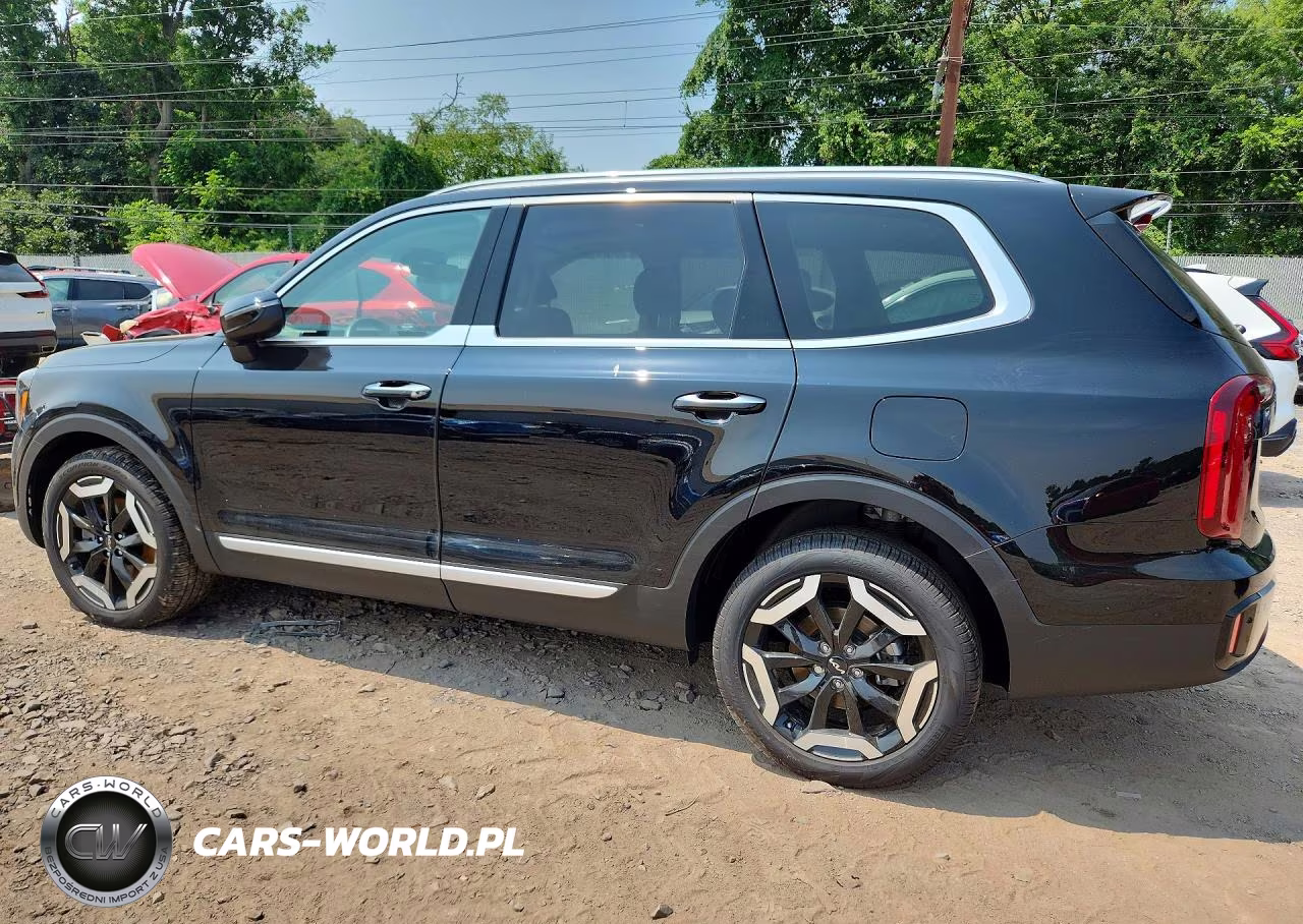 2025 Kia Telluride S VIN:5XYP6DGC9SG736002 - 2