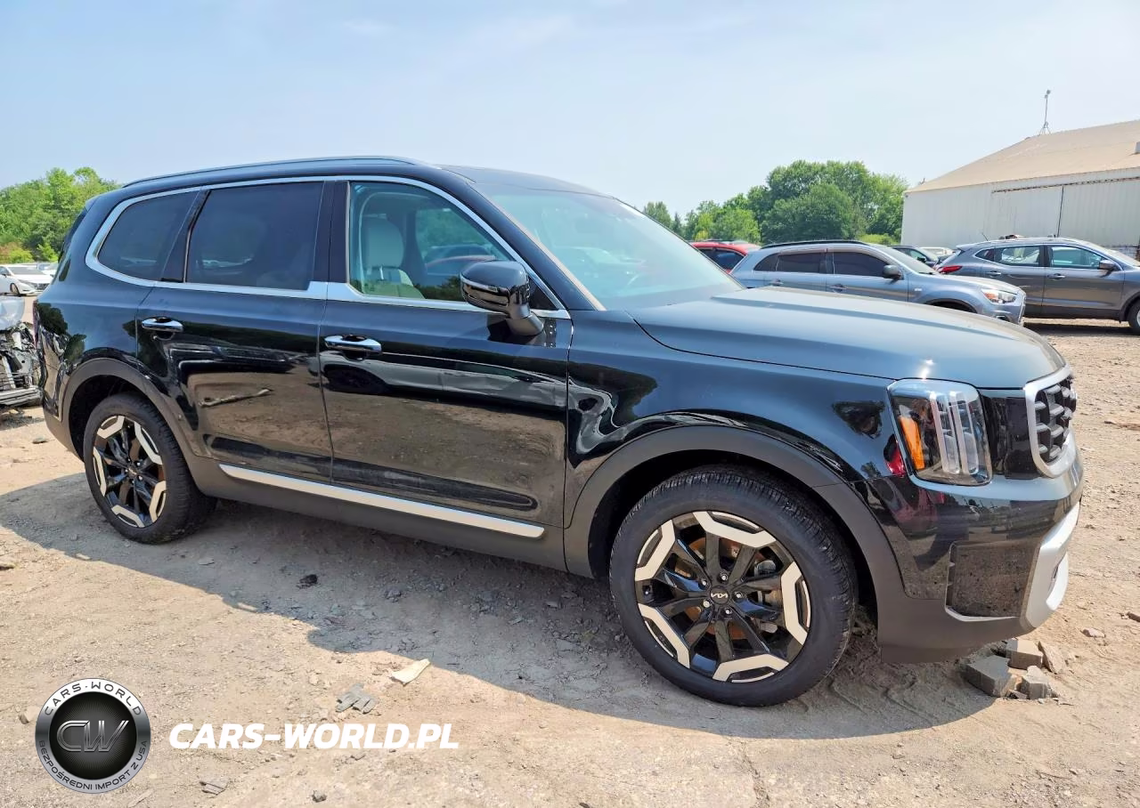 2025 Kia Telluride S VIN:5XYP6DGC9SG736002 - 4