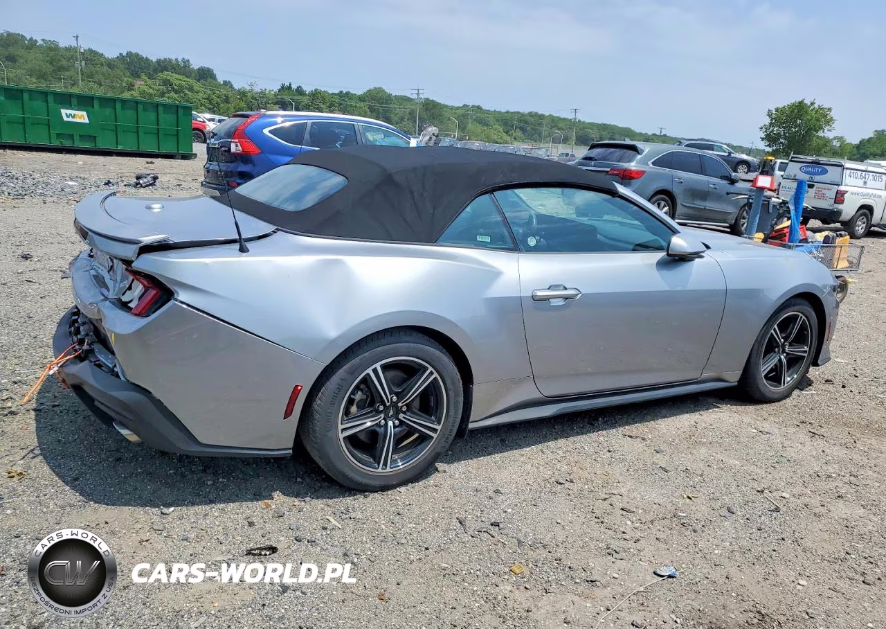 2025 Ford Mustang VIN:1FAGP8UH6S5118624 - 3
