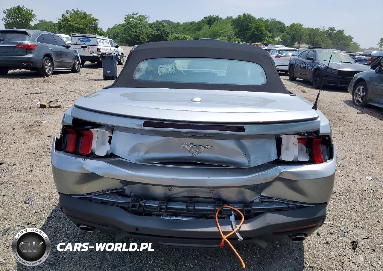 2025 Ford Mustang VIN:1FAGP8UH6S5118624 - 6