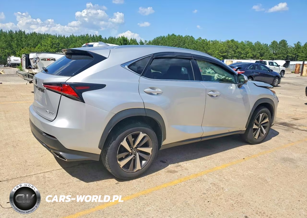 2019 Lexus Nx 200T Base-200T F VIN:JTJBARBZ8K2199163 - 3