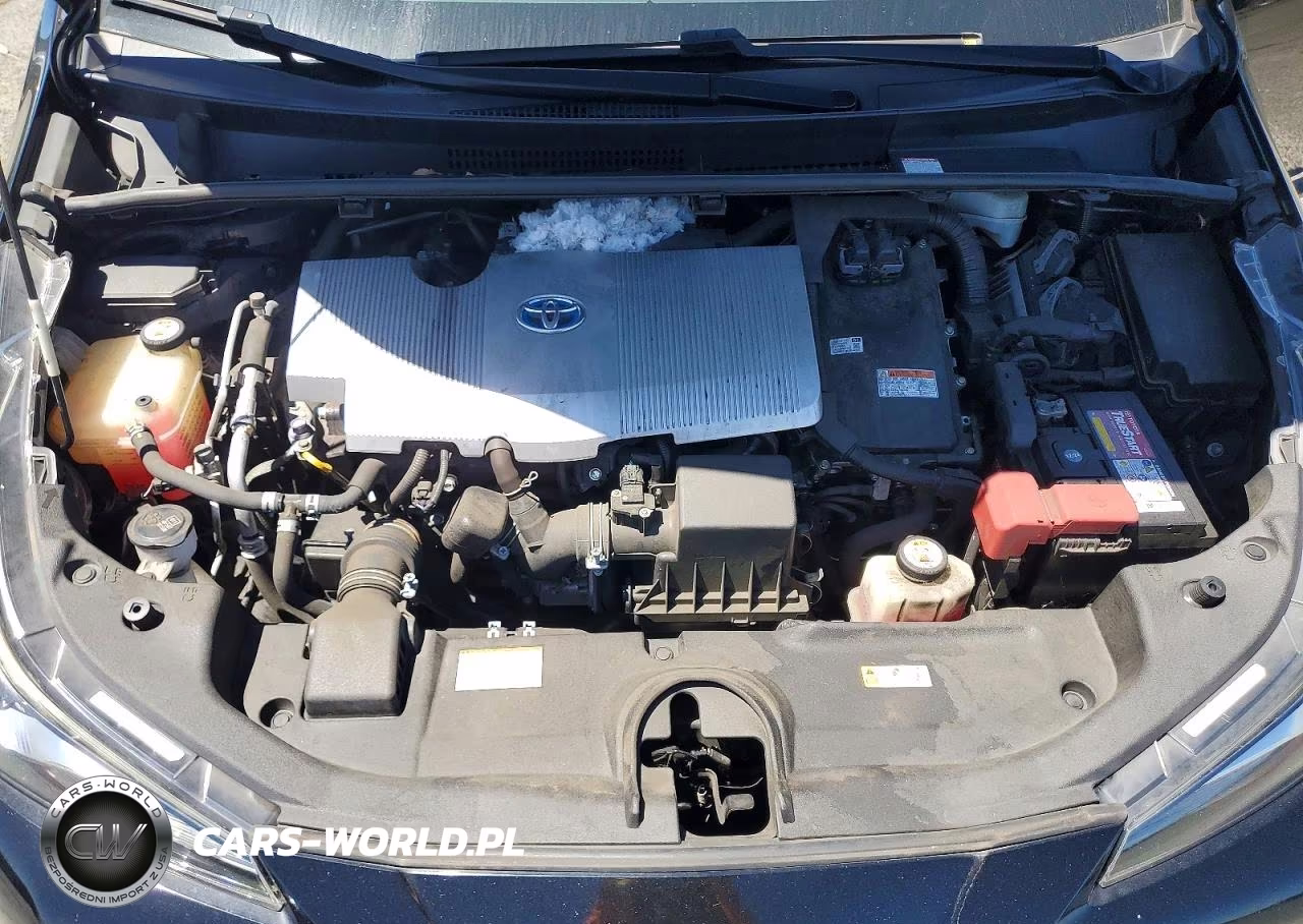 2019 Toyota Prius Xle VIN:JTDKARFU6K3080409 - 11