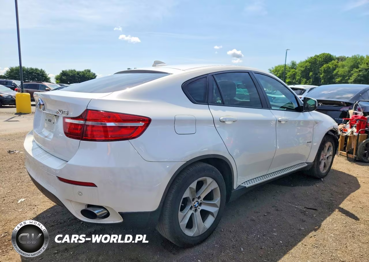 2014 BMW X6 xDrive35I VIN:5UXFG2C51E0C43110 - 3