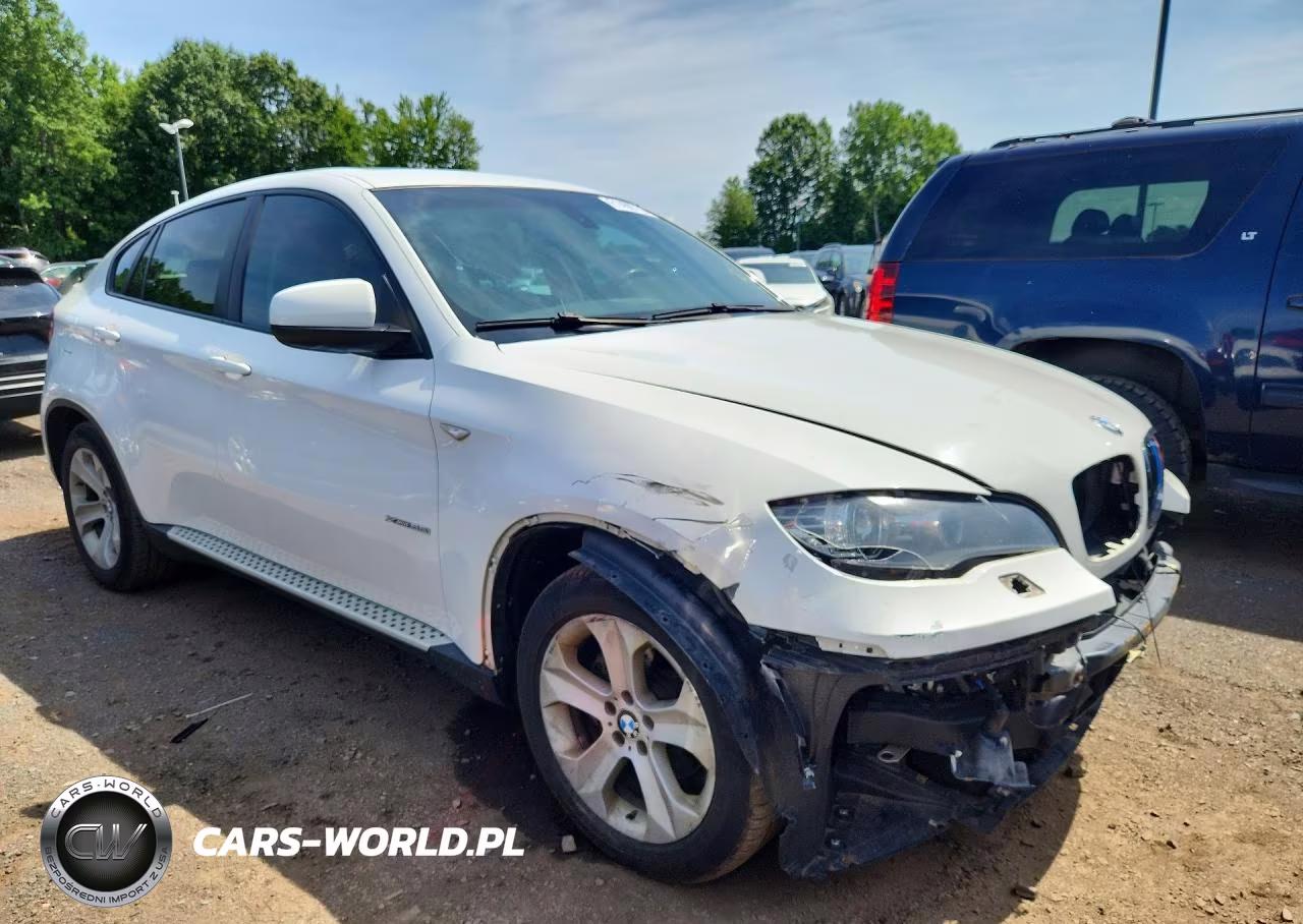 2014 BMW X6 xDrive35I VIN:5UXFG2C51E0C43110 - 4
