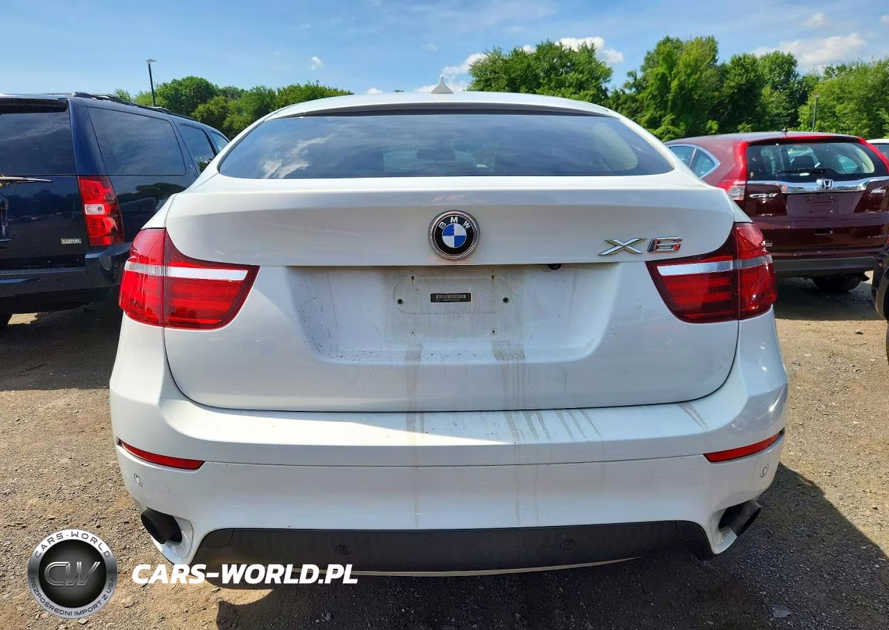 2014 BMW X6 xDrive35I VIN:5UXFG2C51E0C43110 - 6