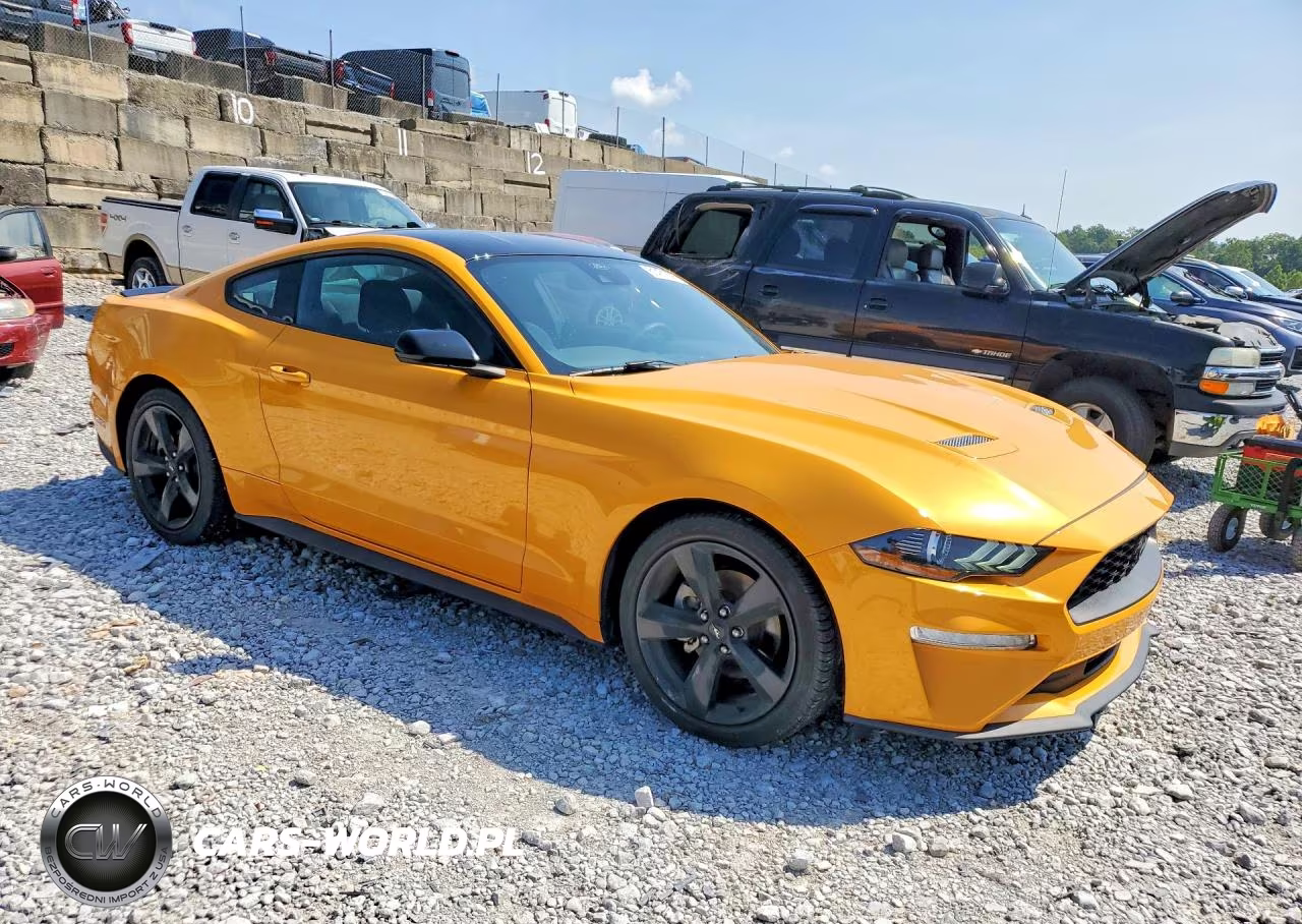 2022 Ford Mustang VIN:1FA6P8TH6N5148711 - 4