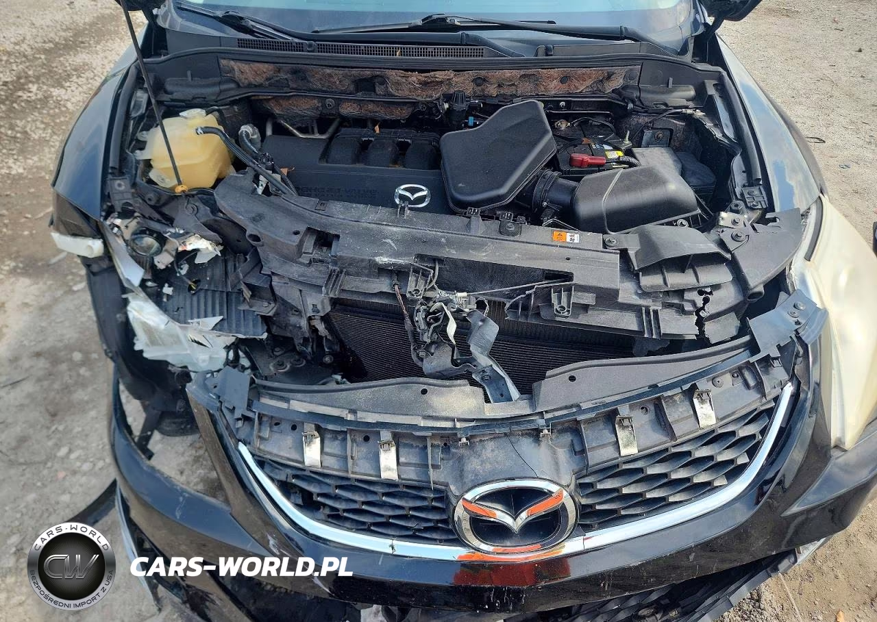 2010 Mazda Cx-9 VIN:JM3TB3MV9A0230238 - 12