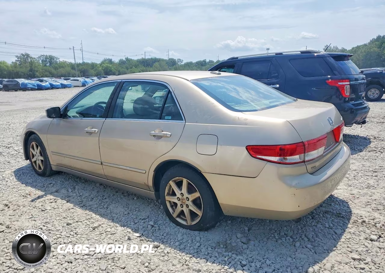 2004 Honda Accord Ex VIN:1HGCM66894A022548 - 2