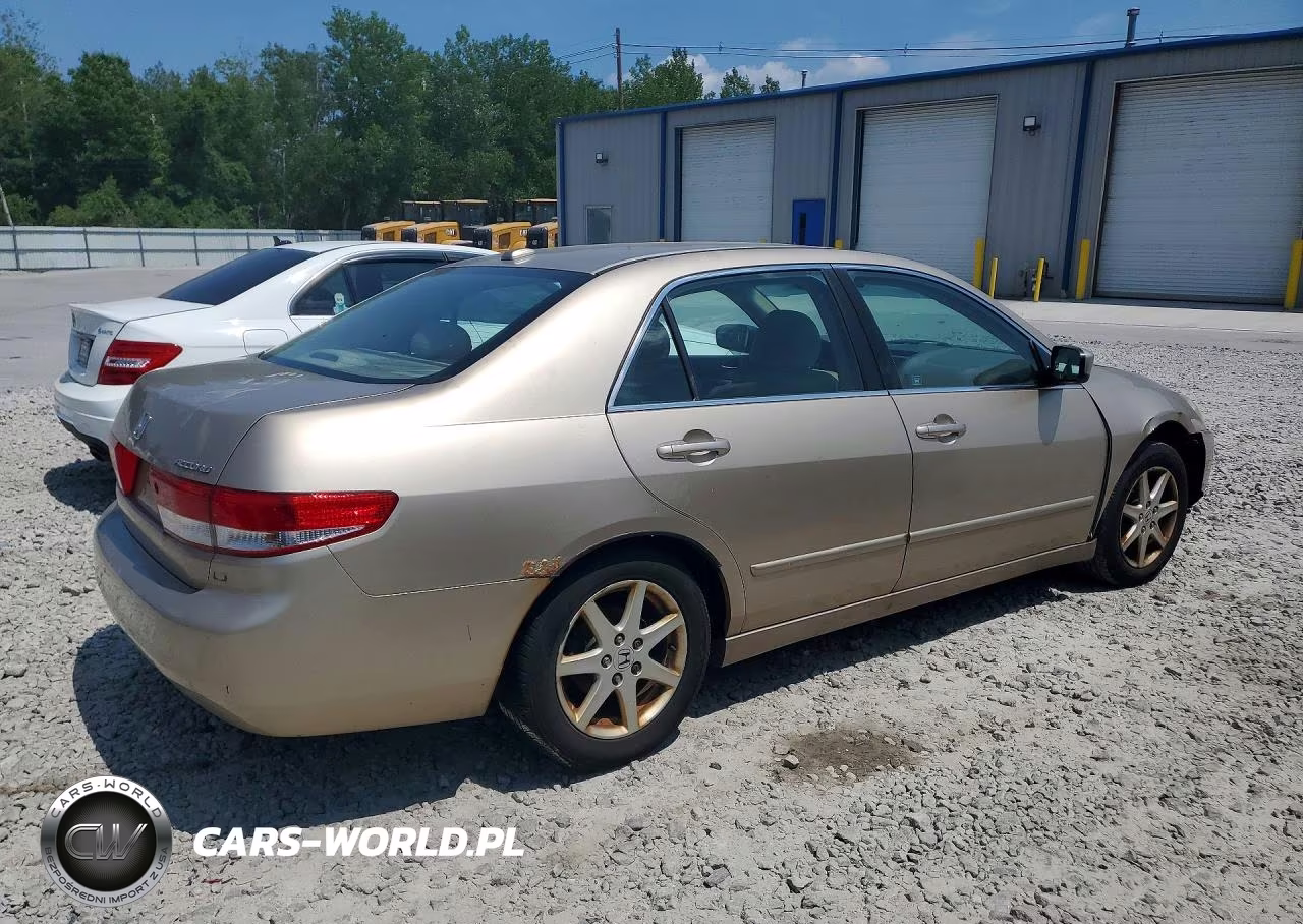 2004 Honda Accord Ex VIN:1HGCM66894A022548 - 3