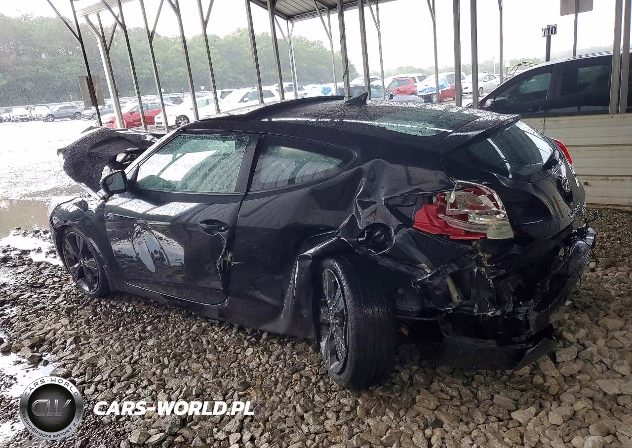 2016 Hyundai Veloster Base VIN:KMHTC6AD5GU253029 - 2
