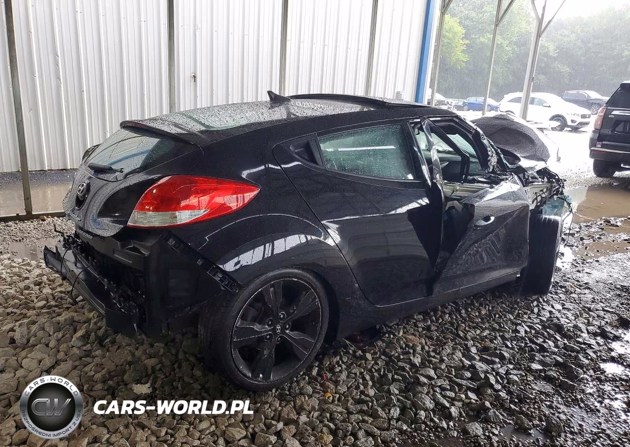 2016 Hyundai Veloster Base VIN:KMHTC6AD5GU253029 - 3