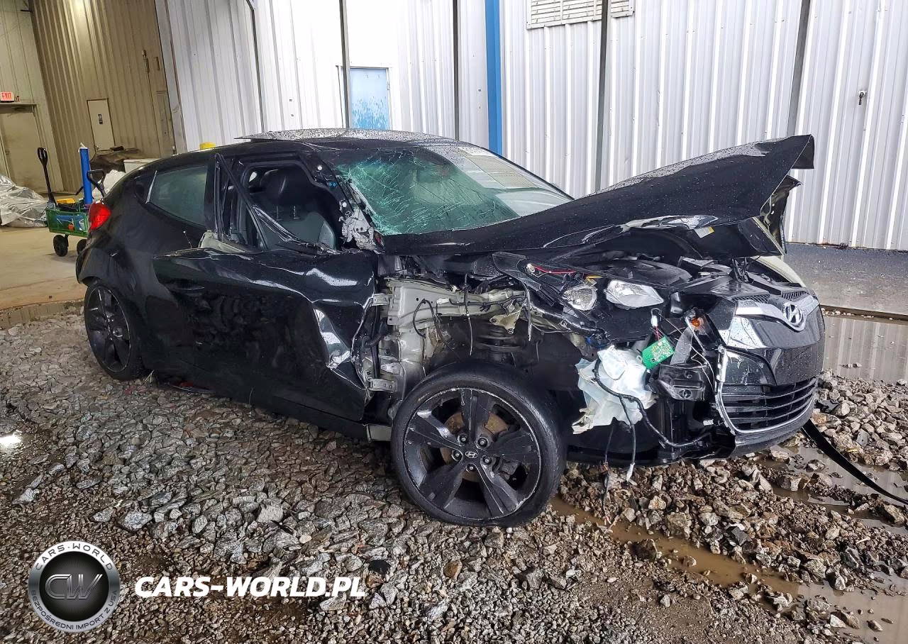 2016 Hyundai Veloster Base VIN:KMHTC6AD5GU253029 - 4