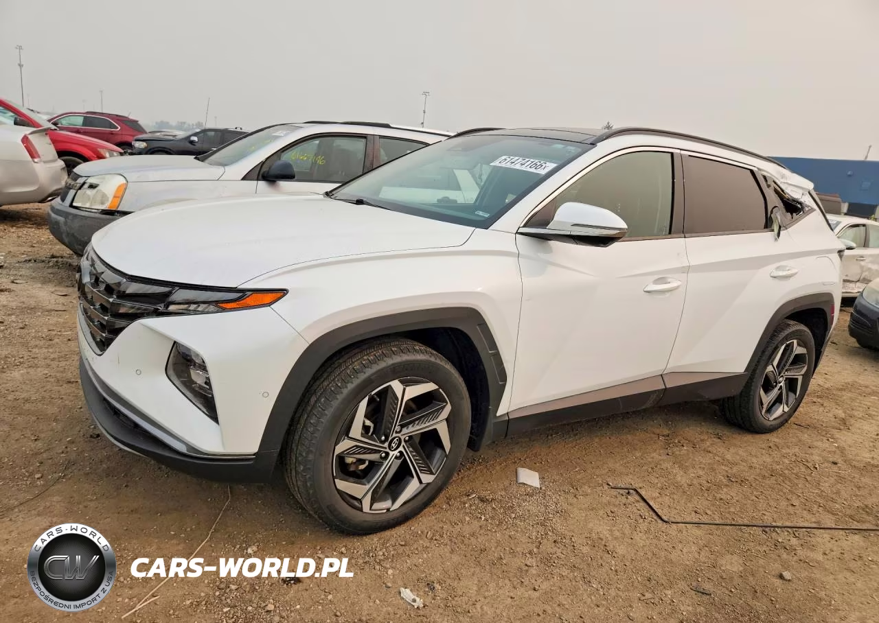 2022 Hyundai Tucson Limited VIN:5NMJECAE6NH114612 - 1