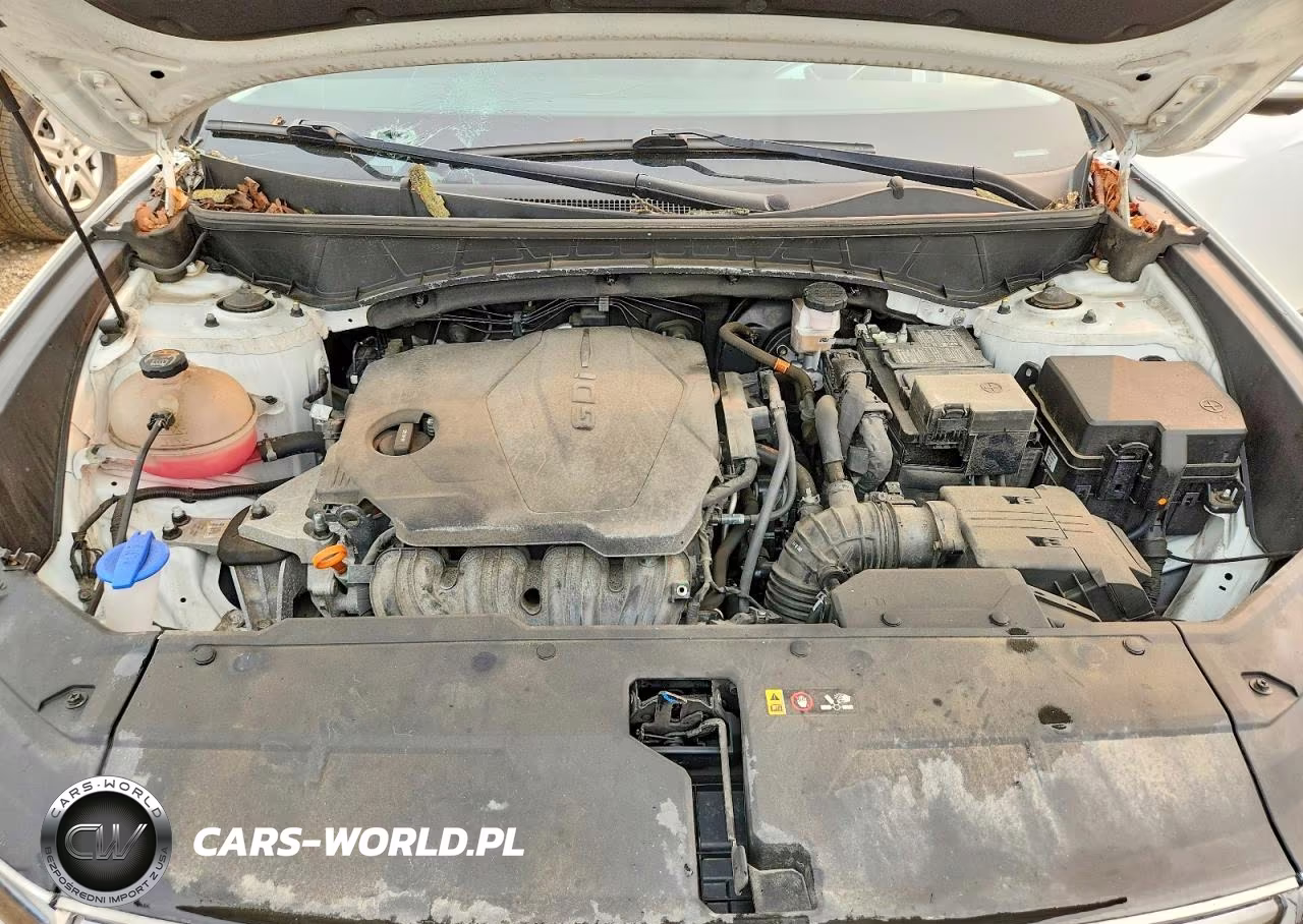 2022 Hyundai Tucson Limited VIN:5NMJECAE6NH114612 - 12