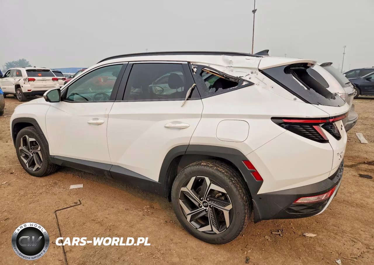 2022 Hyundai Tucson Limited VIN:5NMJECAE6NH114612 - 2