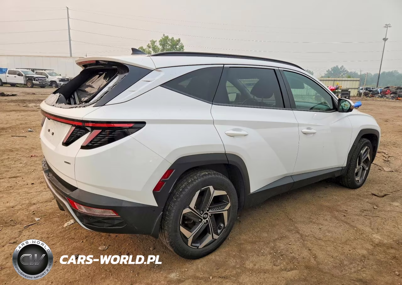2022 Hyundai Tucson Limited VIN:5NMJECAE6NH114612 - 3