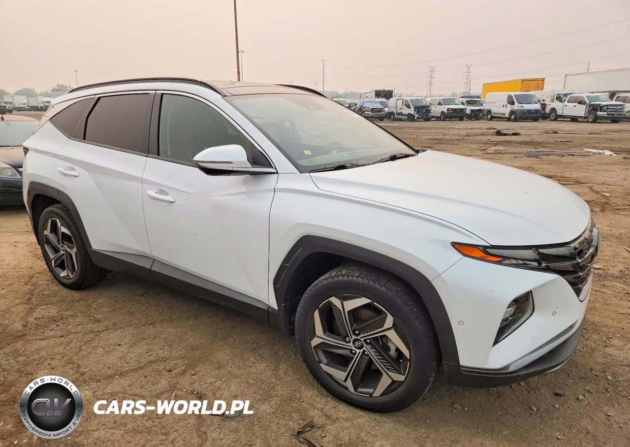 2022 Hyundai Tucson Limited VIN:5NMJECAE6NH114612 - 4