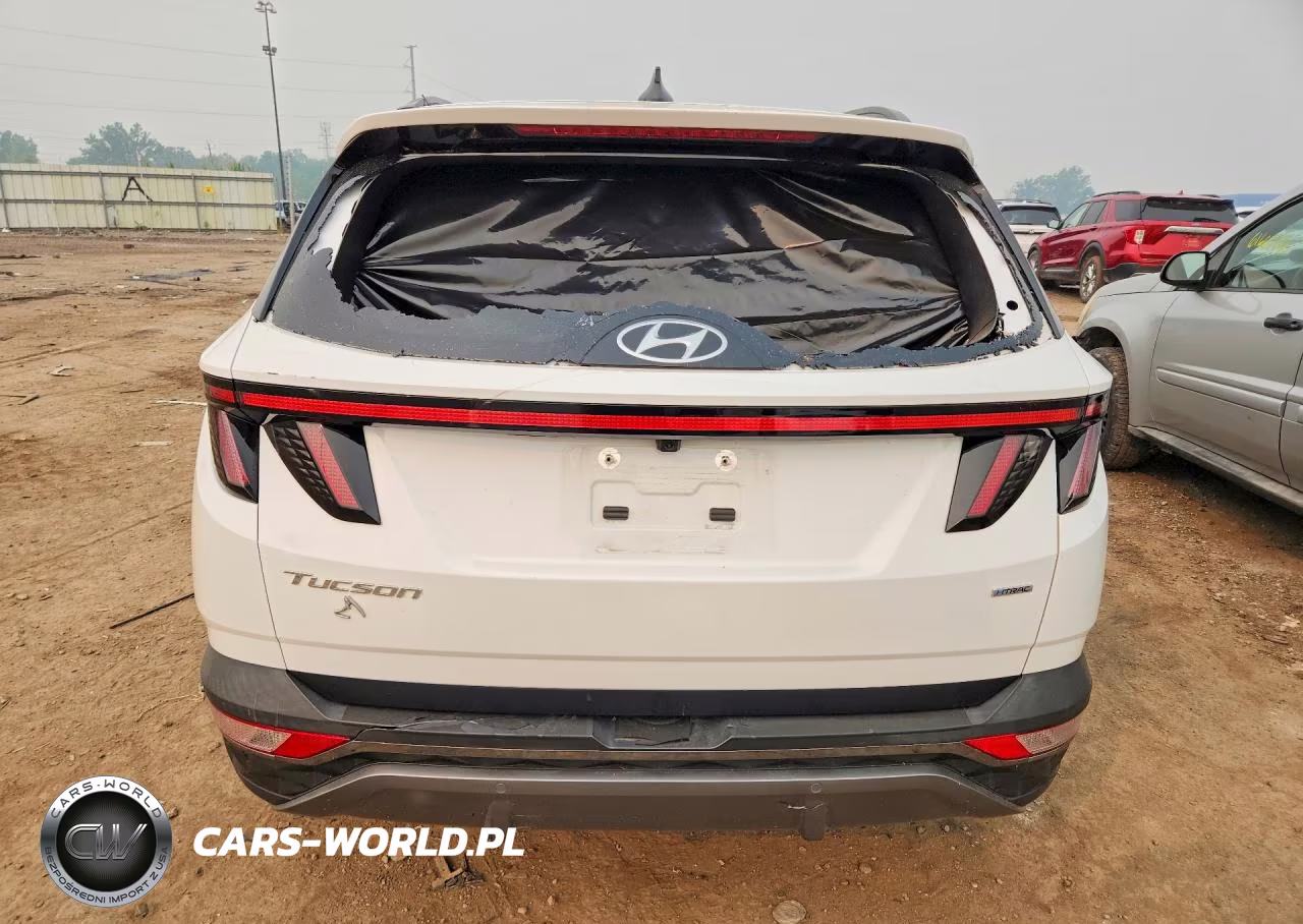 2022 Hyundai Tucson Limited VIN:5NMJECAE6NH114612 - 6