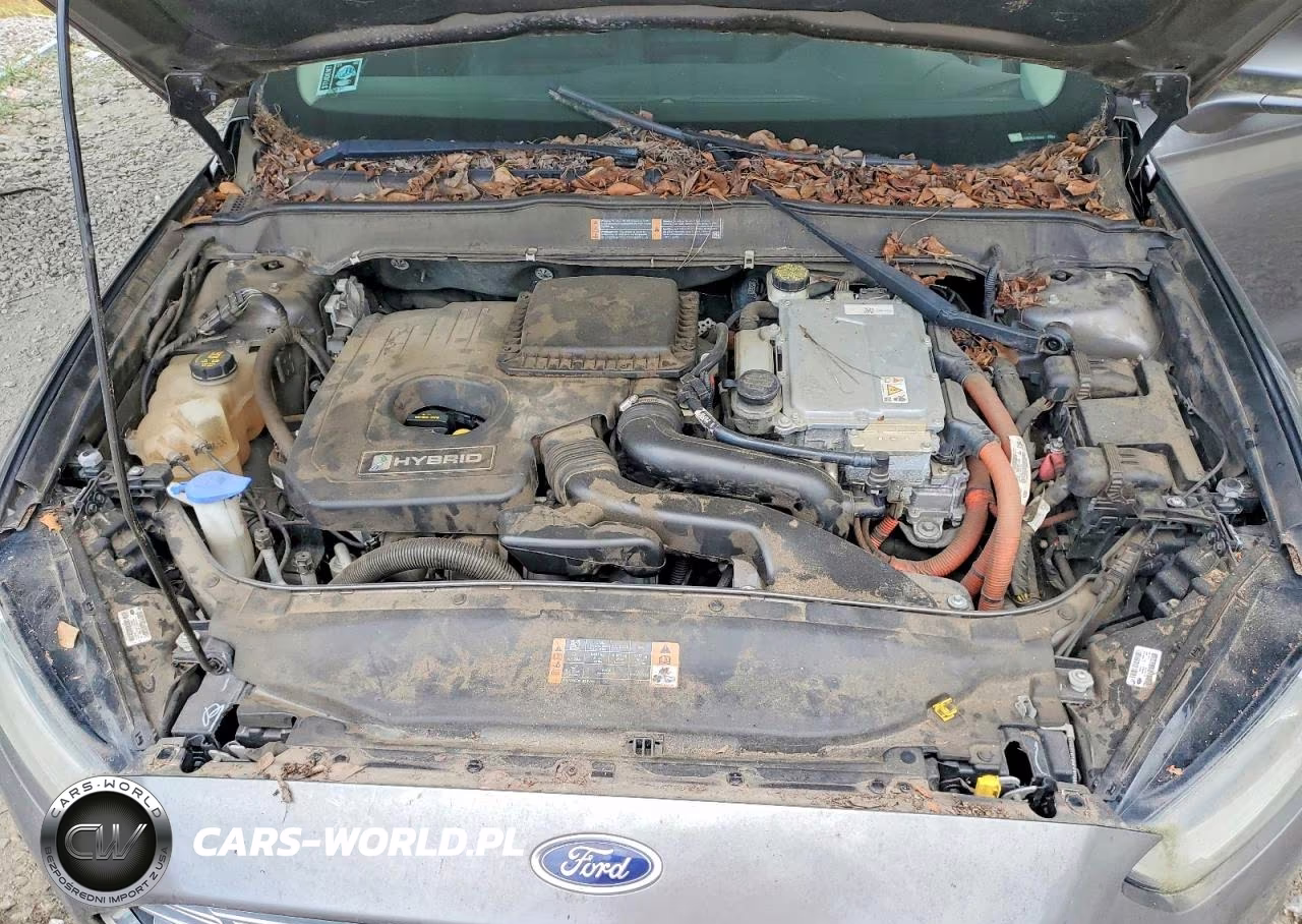 2014 Ford Fusion Se Hybrid VIN:3FA6P0LU9ER274699 - 11