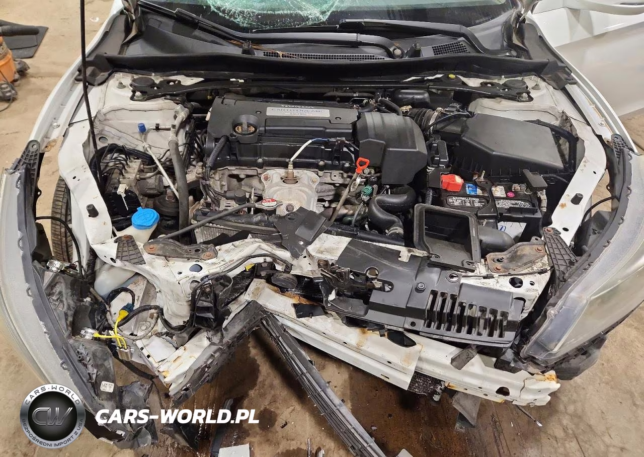 2013 Honda Accord Exl VIN:1HGCR2F87DA020856 - 11