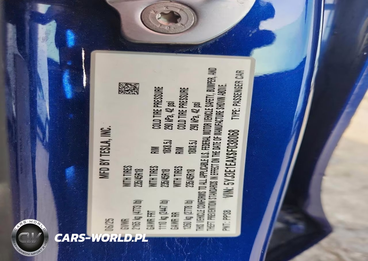 2025 Tesla Model 3 VIN:5YJ3E1EAXSF038068 - 12