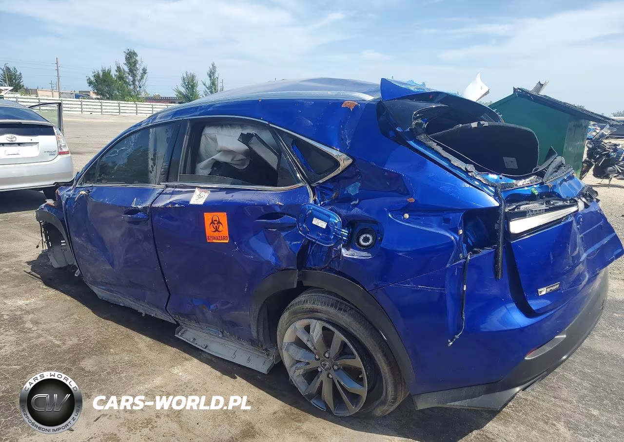 2021 Lexus Nx 300 Base VIN:JTJSARBZ3M2193161 - 2