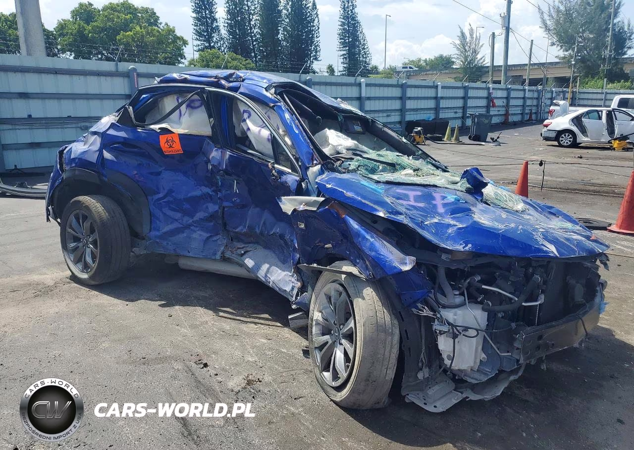 2021 Lexus Nx 300 Base VIN:JTJSARBZ3M2193161 - 4