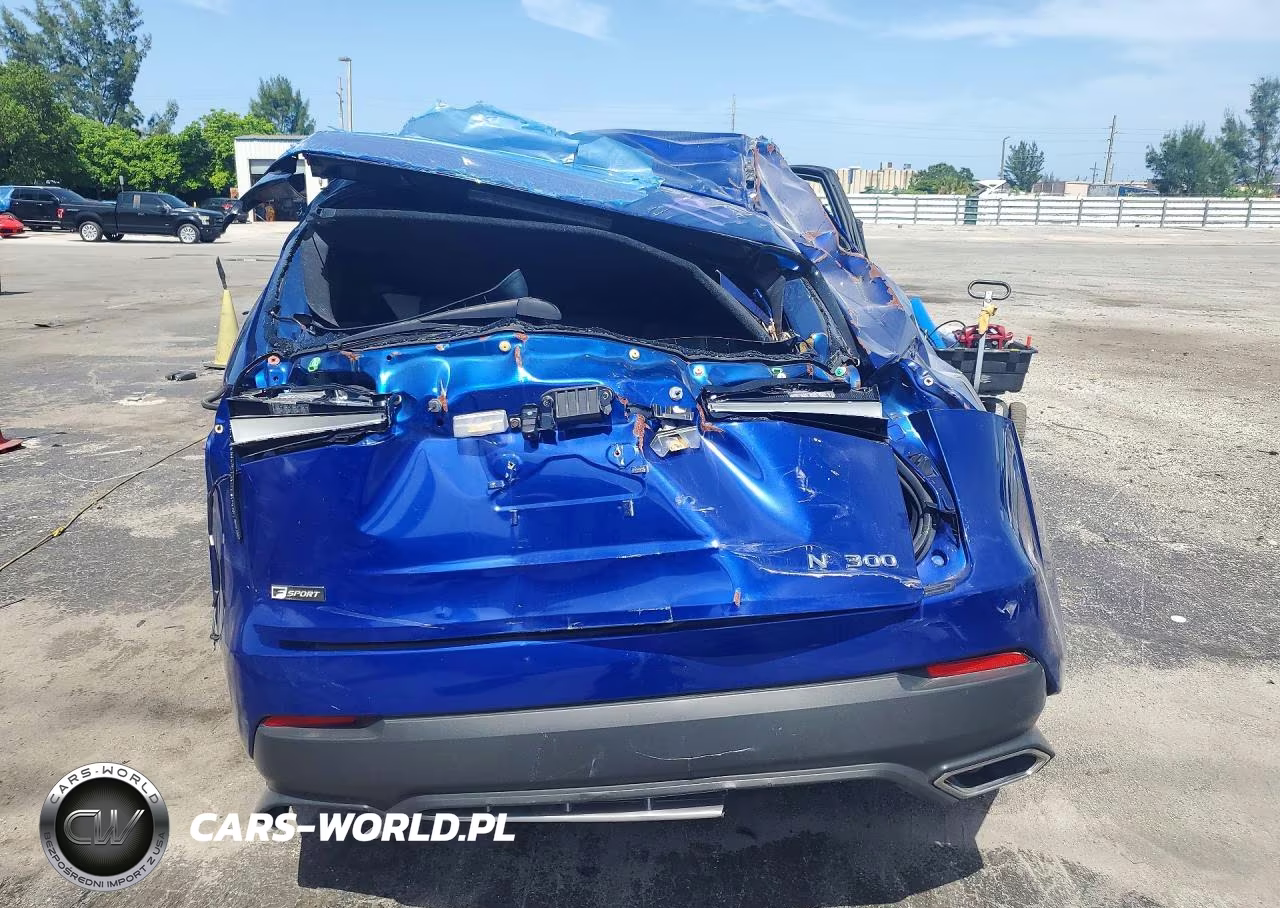2021 Lexus Nx 300 Base VIN:JTJSARBZ3M2193161 - 6