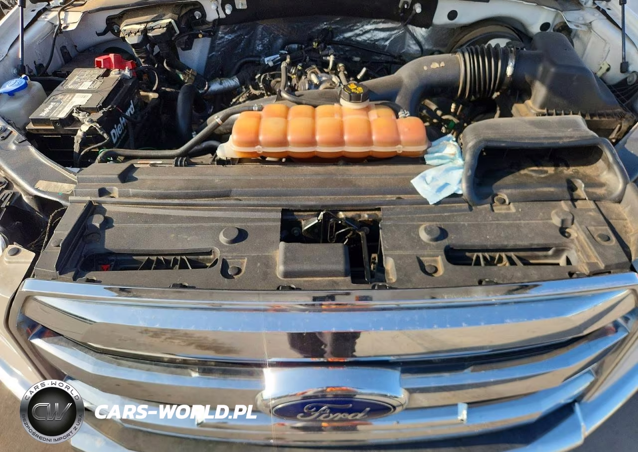 2016 Ford F150 Supercrew VIN:1FTEW1CP0GKF79041 - 11