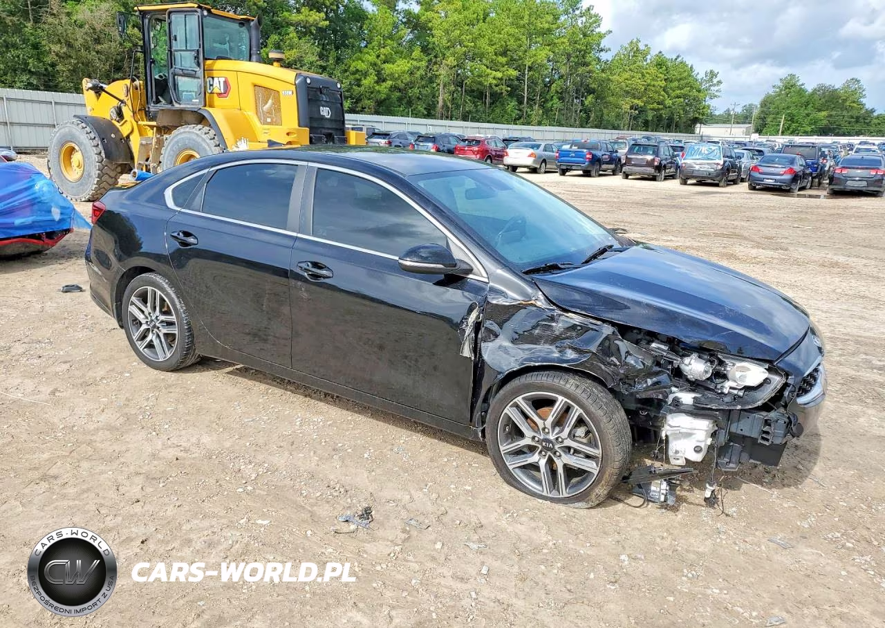 2020 Kia Forte Ex VIN:3KPF54AD3LE229806 - 4