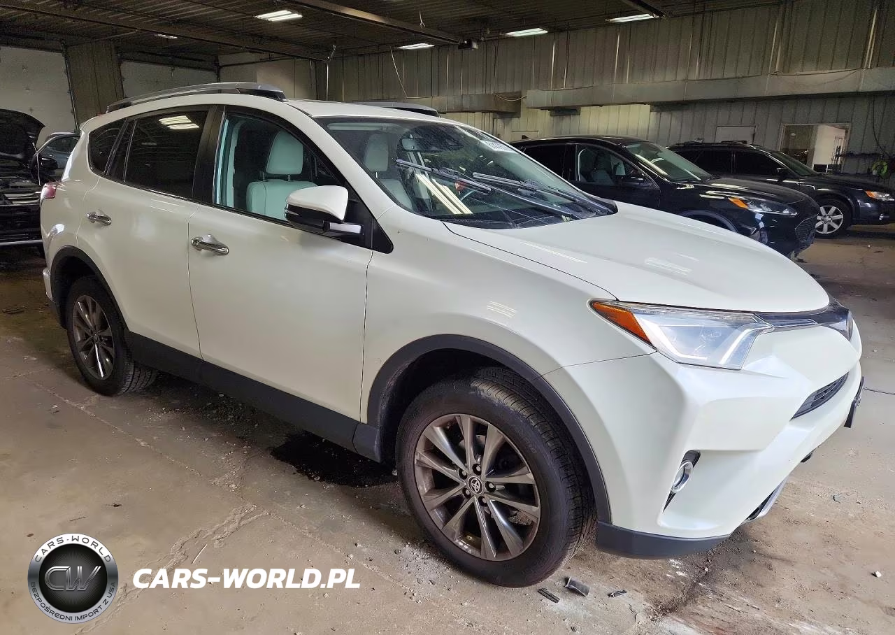 2018 Toyota Rav4 Limited VIN:JTMDFREV1JJ231901 - 4